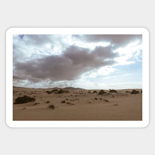 Desert landscape Sticker